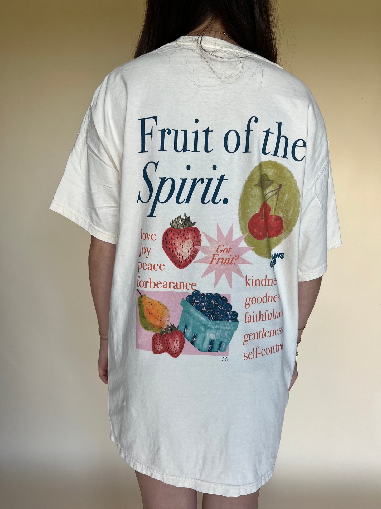 Fruit of The Spirit Tee